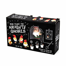 Mini Plant Pot Naughty Gnomes Set of Four Novelty