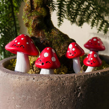 Mini Plant Pot Mushroom Maker Novelty Planter