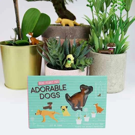Gift Republic Mini ADORABLE DOGS Plant Pot