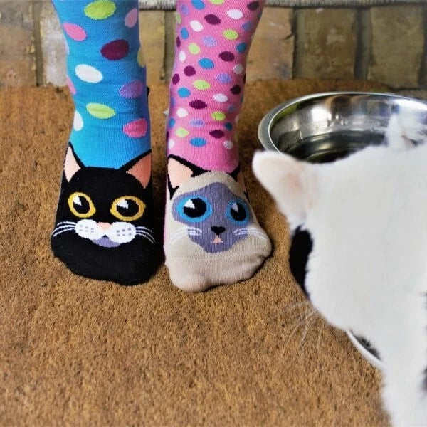 United ODDSOCKS Catwalk Women's Socks Kittens Odd Gift Idea