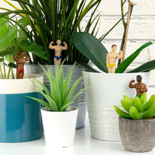 Gift Republic Mini Plant Pot Hunks Planters