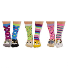 United ODDSOCKS Catwalk Women's Socks Kittens Odd Gift Idea