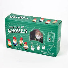 Mini Plant Pot Gnomes Planter Garden