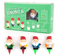 Mini Plant Pot Gnomes Planter Garden
