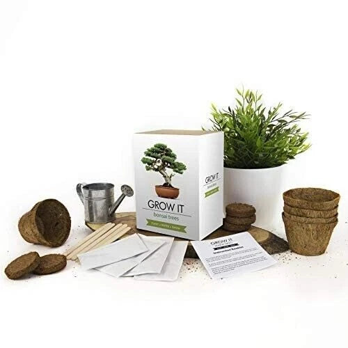 Gift Republic Grow Your Own Bonsai Trees