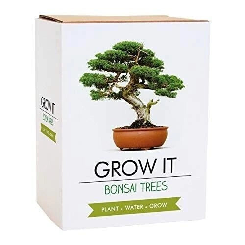 Gift Republic Grow Your Own Bonsai Trees