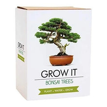 Gift Republic Grow Your Own Bonsai Trees